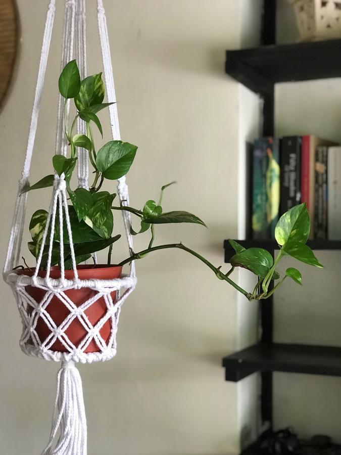 马塔小屋经济型酒店 Kuta Selatan 外观 照片